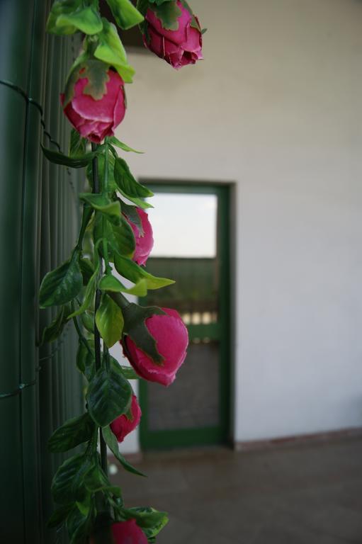 Вилла Agriturismo La Valbona San Martino Siccomario Экстерьер фото