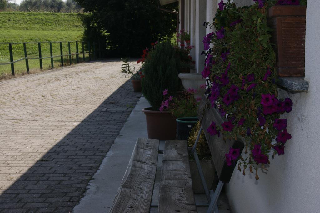 Вилла Agriturismo La Valbona San Martino Siccomario Экстерьер фото