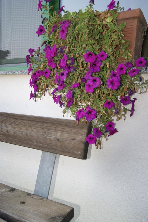 Вилла Agriturismo La Valbona San Martino Siccomario Экстерьер фото