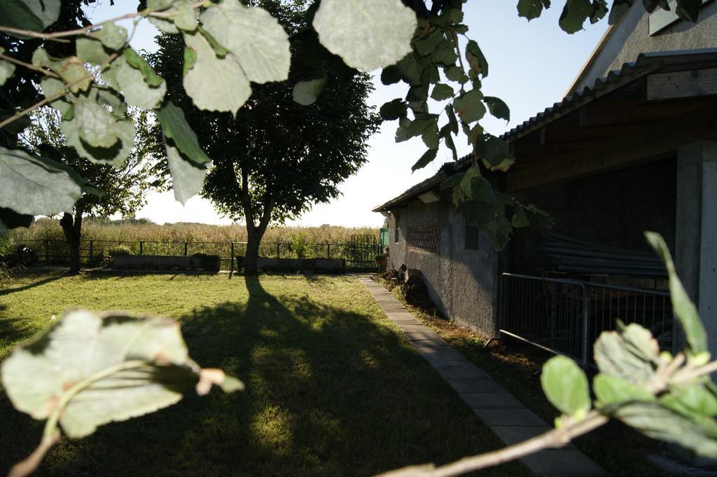Вилла Agriturismo La Valbona San Martino Siccomario Экстерьер фото